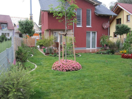 kenzingen-2010-neueanlage-eingang-garten-zaun-terraze-bepflanzung-8